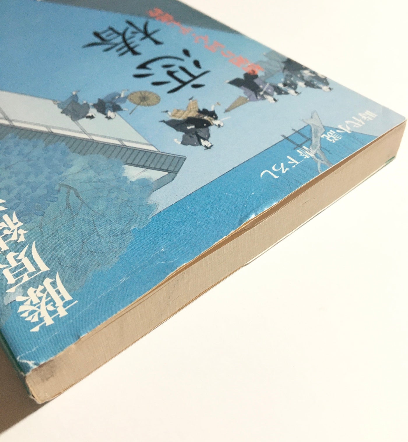 恋椿 橋廻り同心・平七郎控