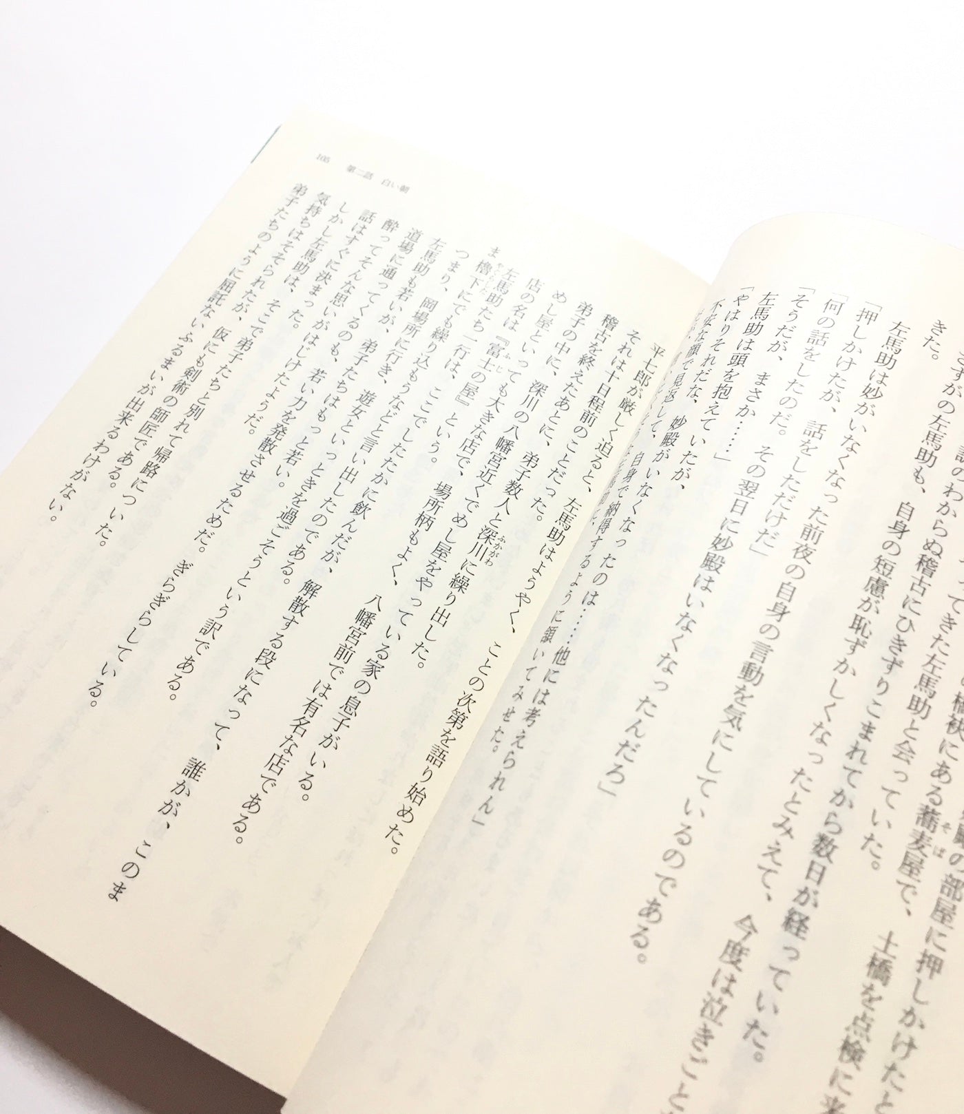 冬萌え―橋廻り同心・平七郎控