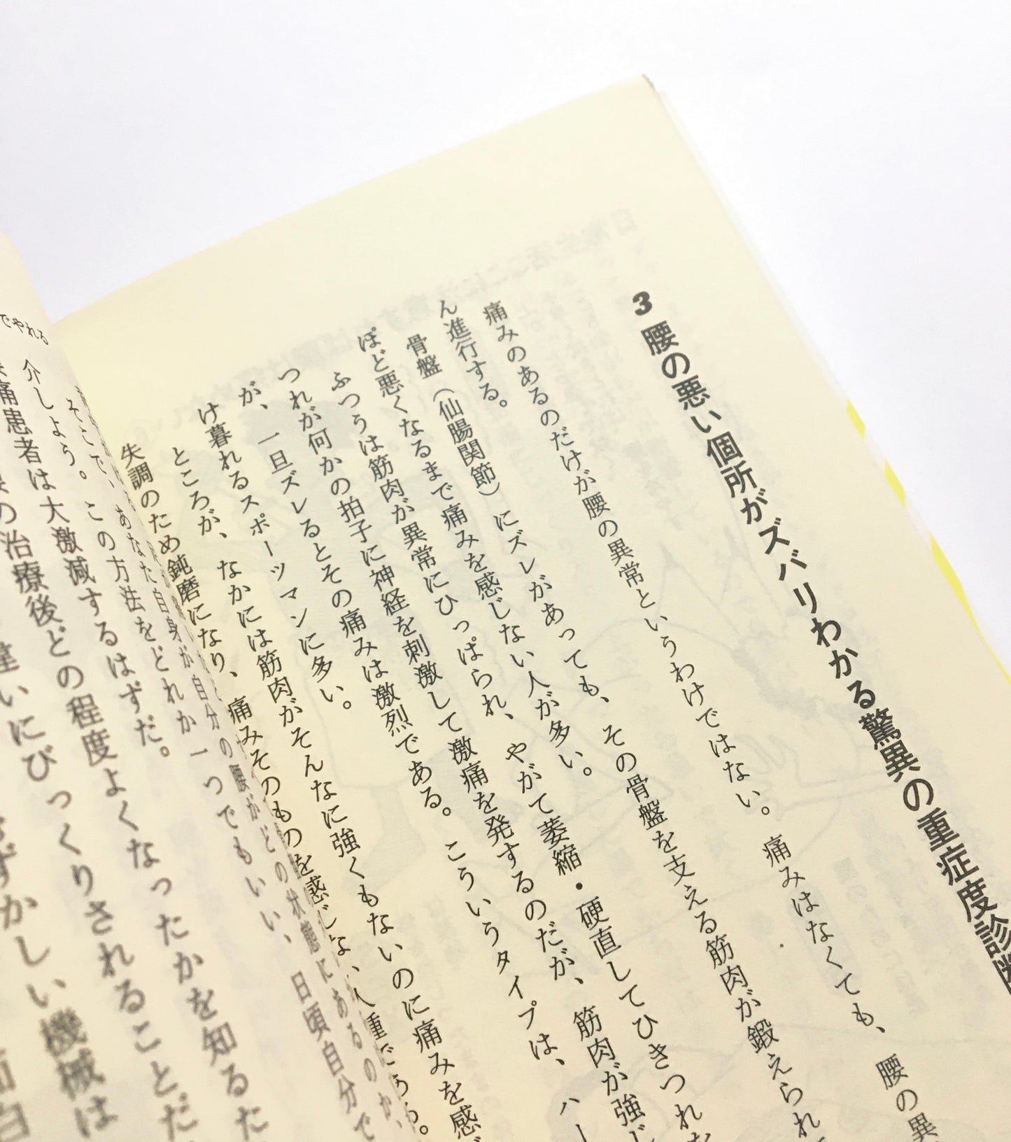 腰痛我慢すれば悪くなる : 自分で見てやれる図解版