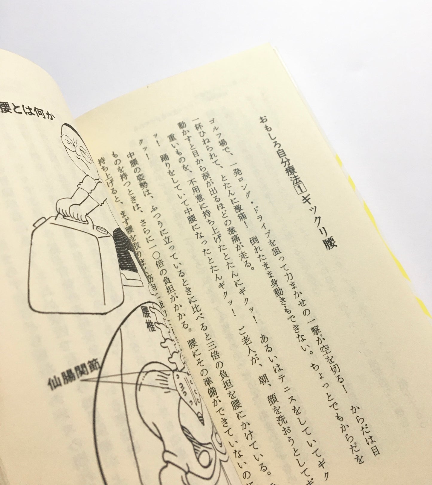 腰痛我慢すれば悪くなる : 自分で見てやれる図解版