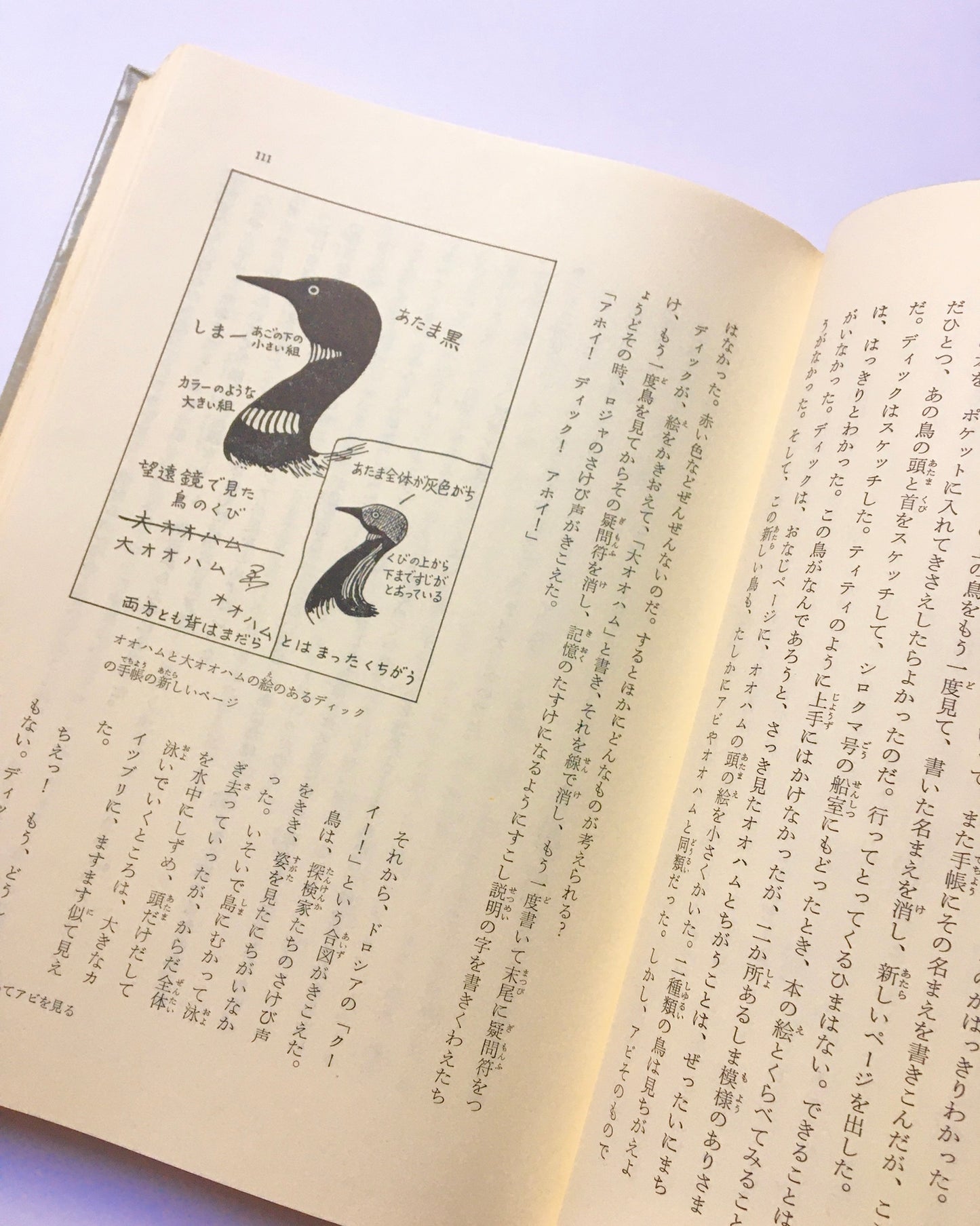 シロクマ号となぞの鳥： アーサー・ランサム全集 12