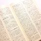 社会科学辞典 新版