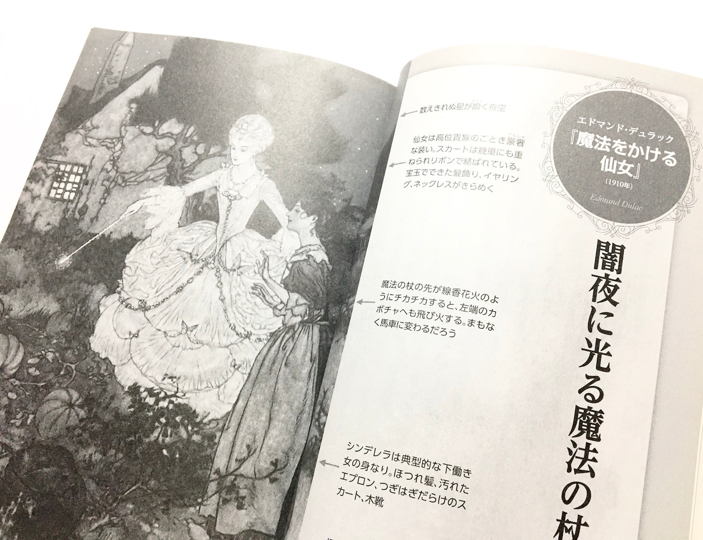 別冊NHK100分de名著 読書の学校  中野京子 特別授業 『シンデレラ』 (教養・文化シリーズ)