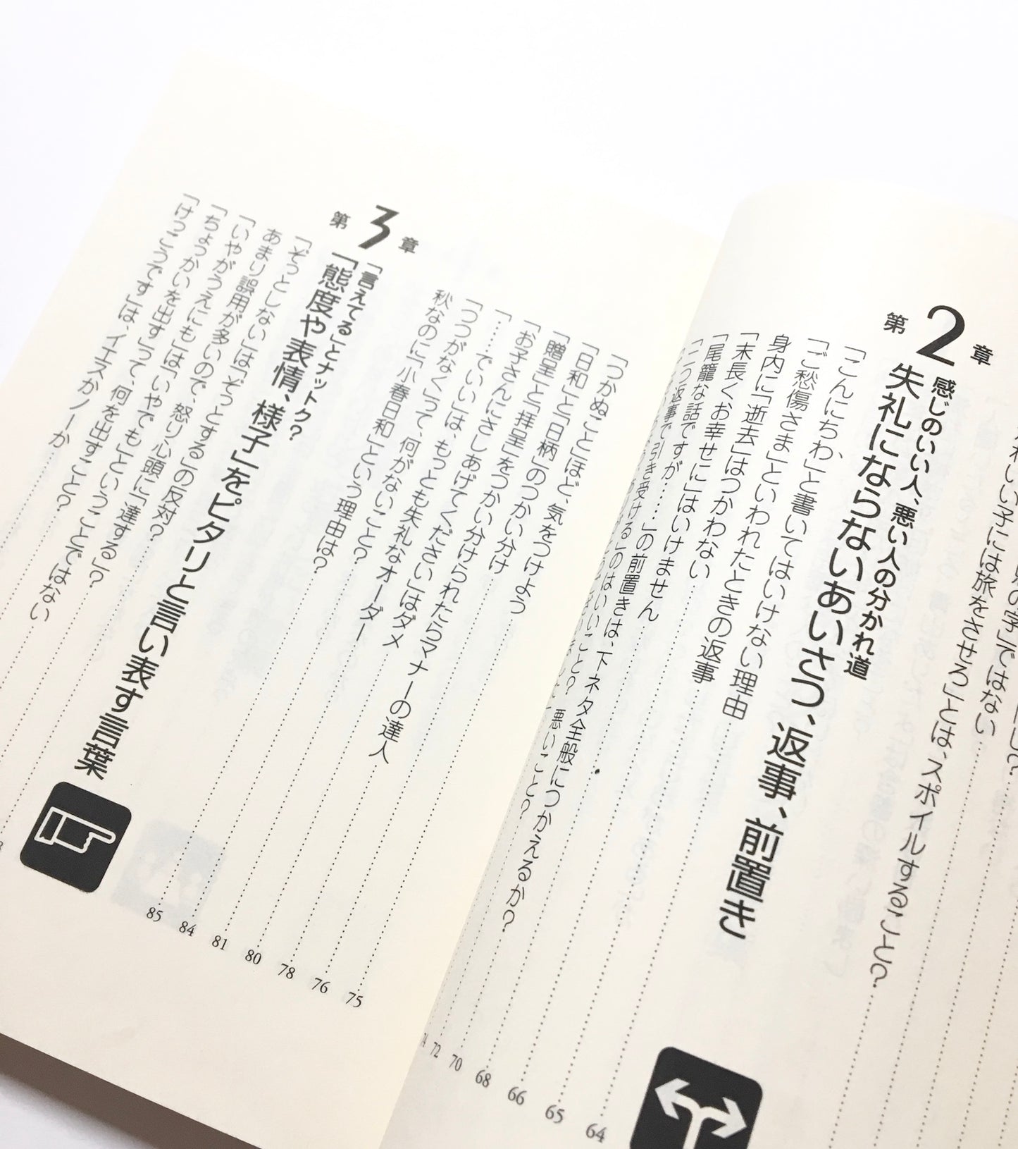 間違いのない日本語 : 会話、手紙に役立つ!