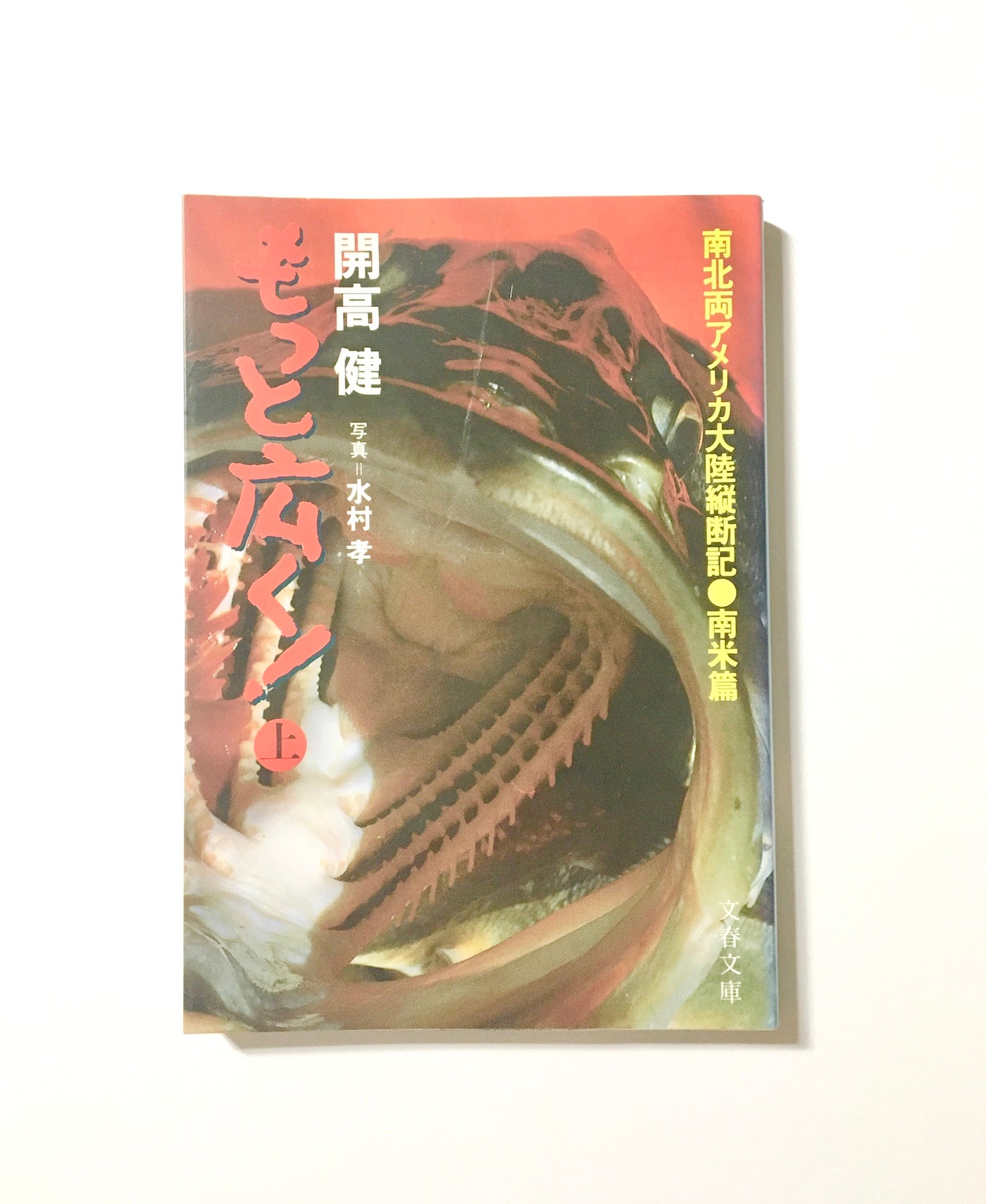 もっと広く! (上) 　南北両アメリカ大陸縦断記・南米篇