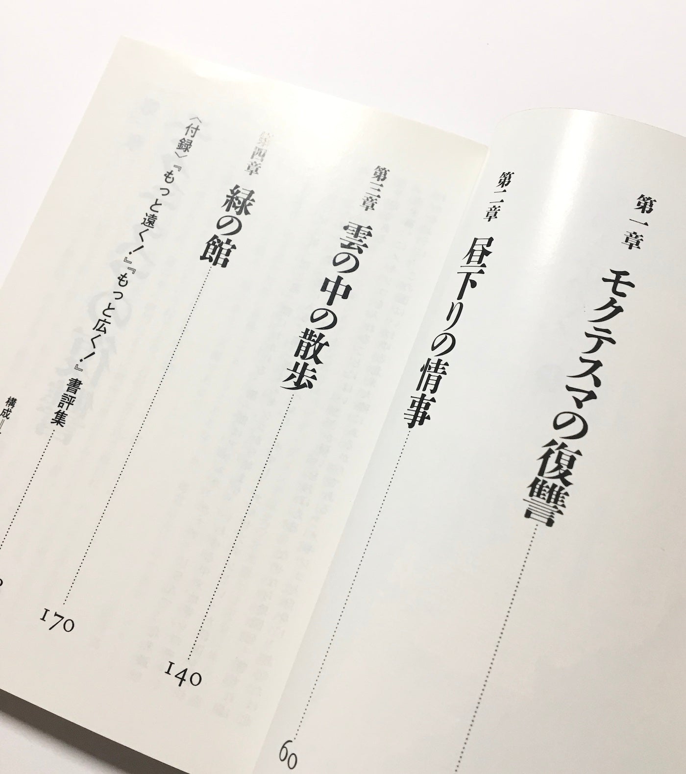 もっと広く! (上) 　南北両アメリカ大陸縦断記・南米篇