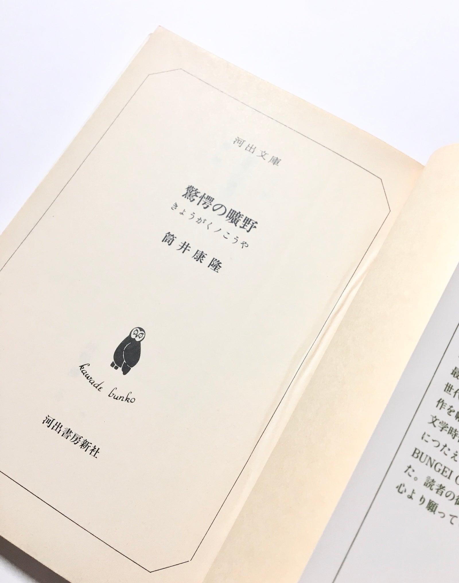 驚愕の曠野 – Tsubaki japanese bookstore
