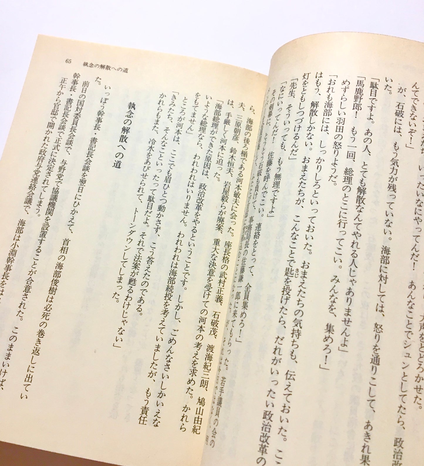 自民党分裂 : 政治改革の攻防