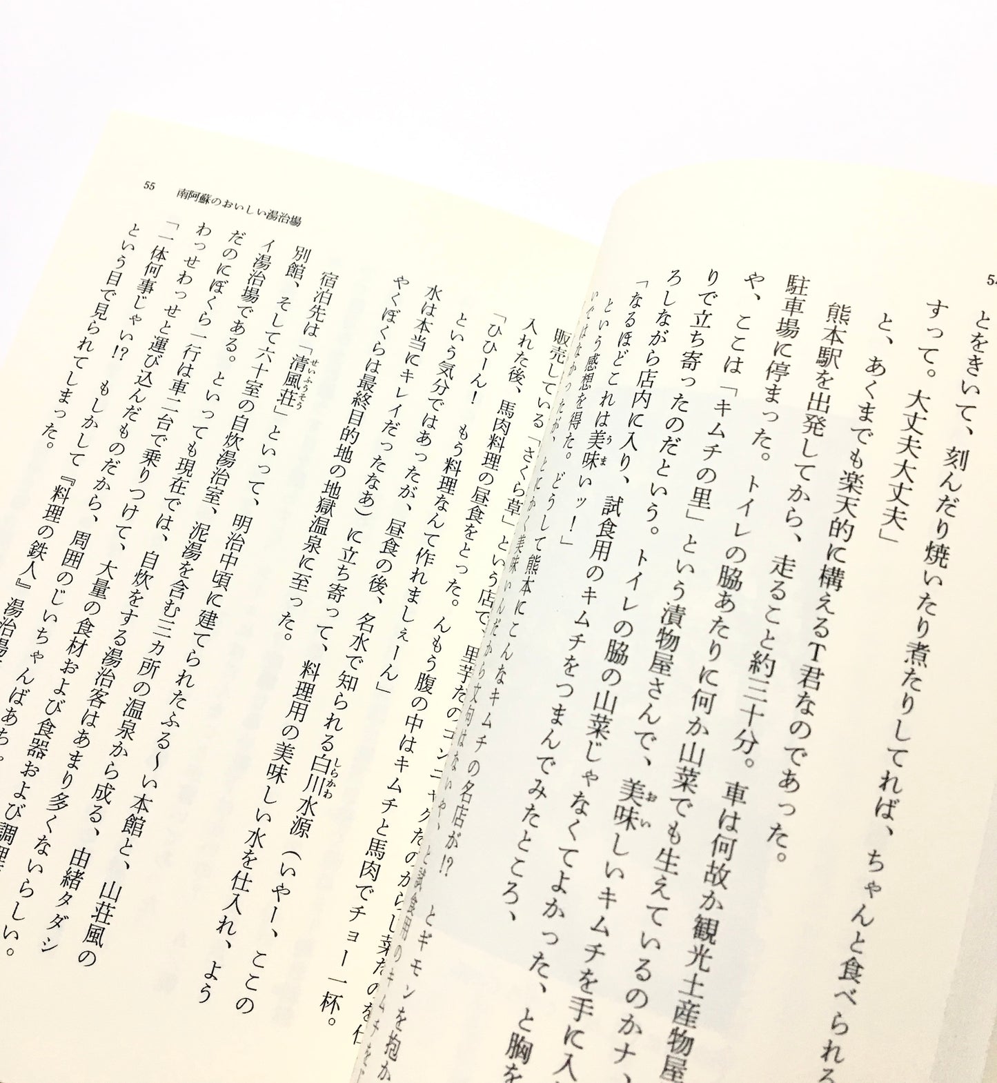 大変結構、結構大変。 : ハラダ九州温泉三昧の旅