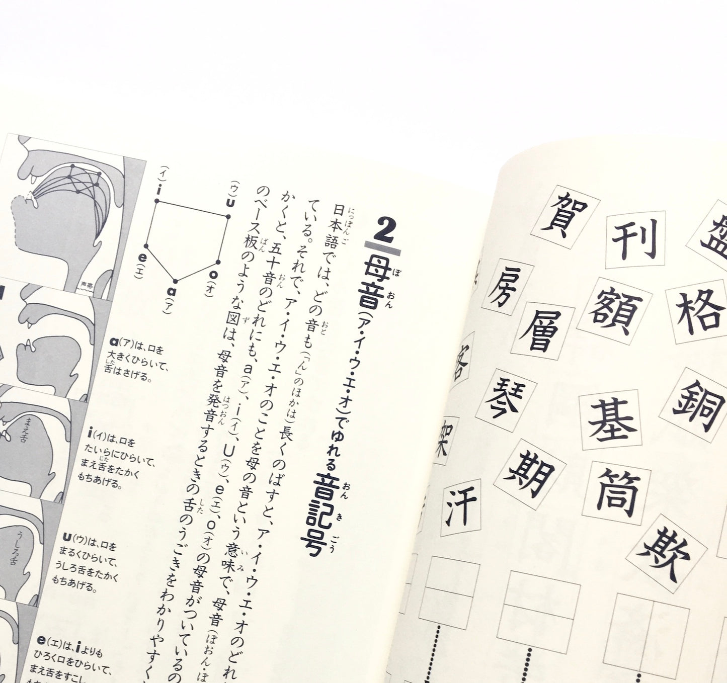 漢字がたのしくなる本 ５- 142の音記号 　500字で漢字のぜんぶがわかる