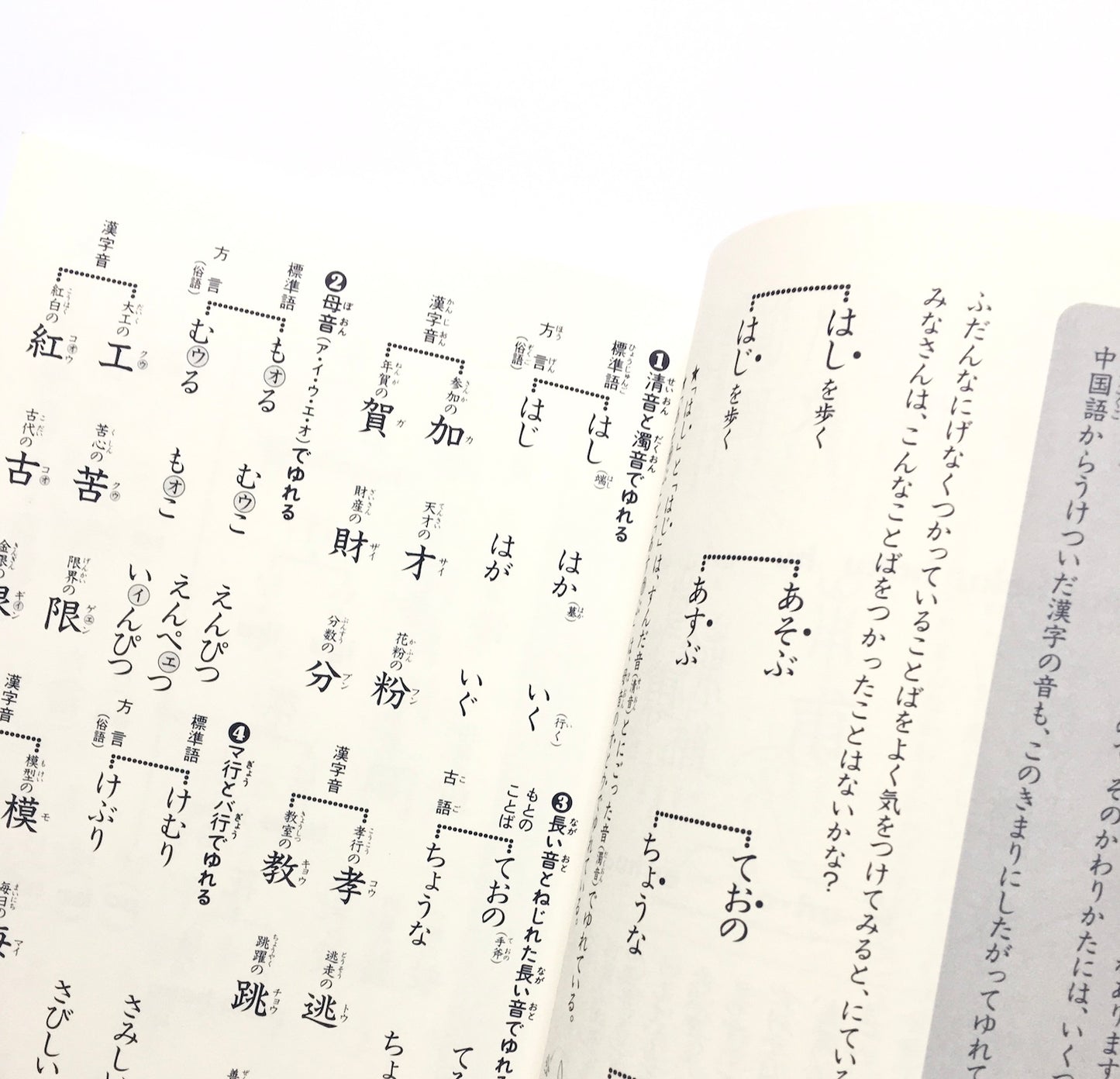 漢字がたのしくなる本 ５- 142の音記号 　500字で漢字のぜんぶがわかる