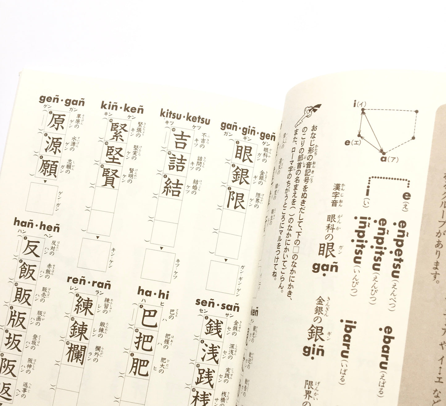 漢字がたのしくなる本 ５- 142の音記号 　500字で漢字のぜんぶがわかる