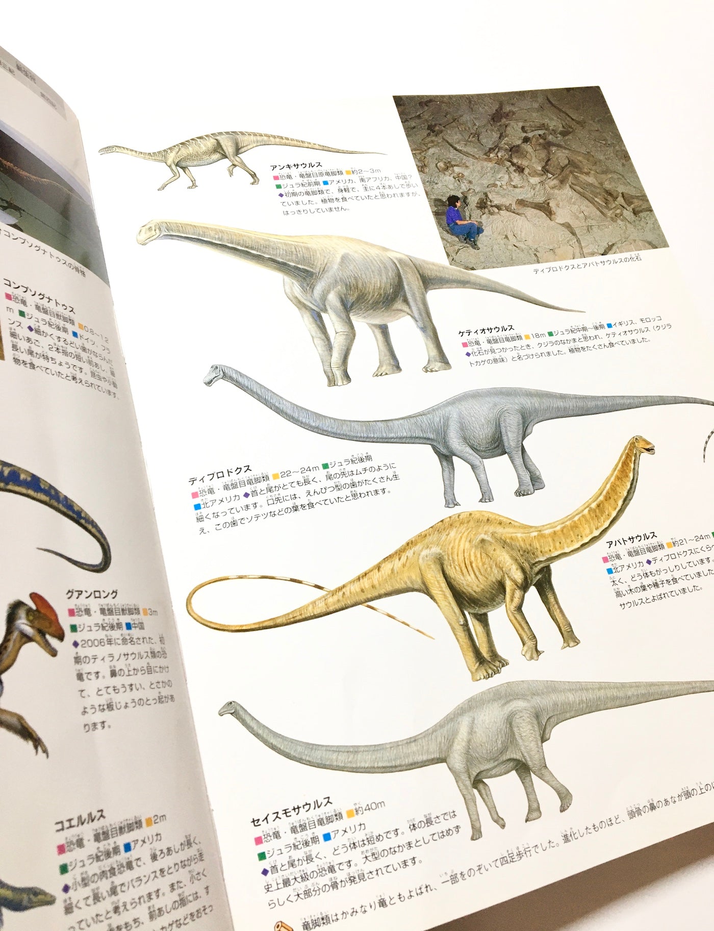 大昔の動物 (ニューワイド学研の図鑑)