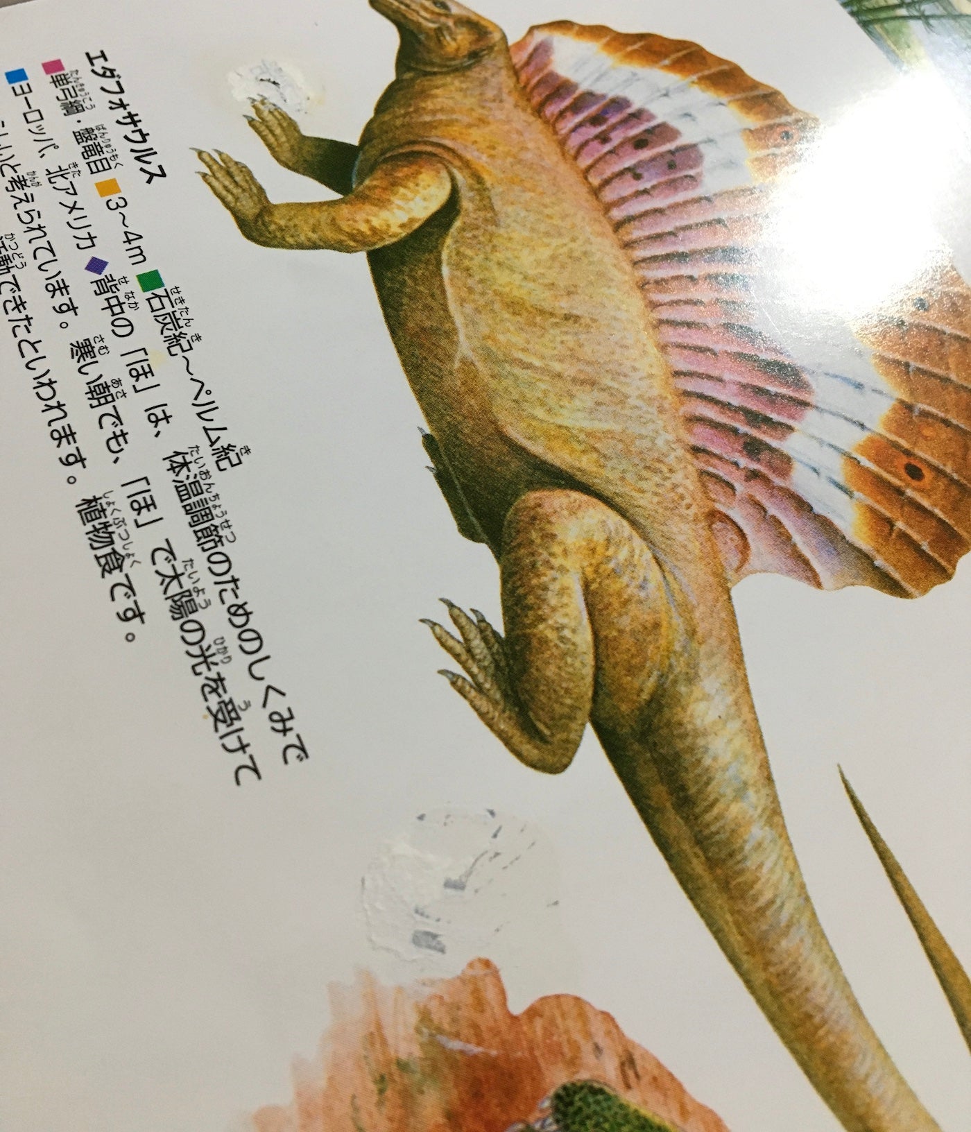 大昔の動物 (ニューワイド学研の図鑑)