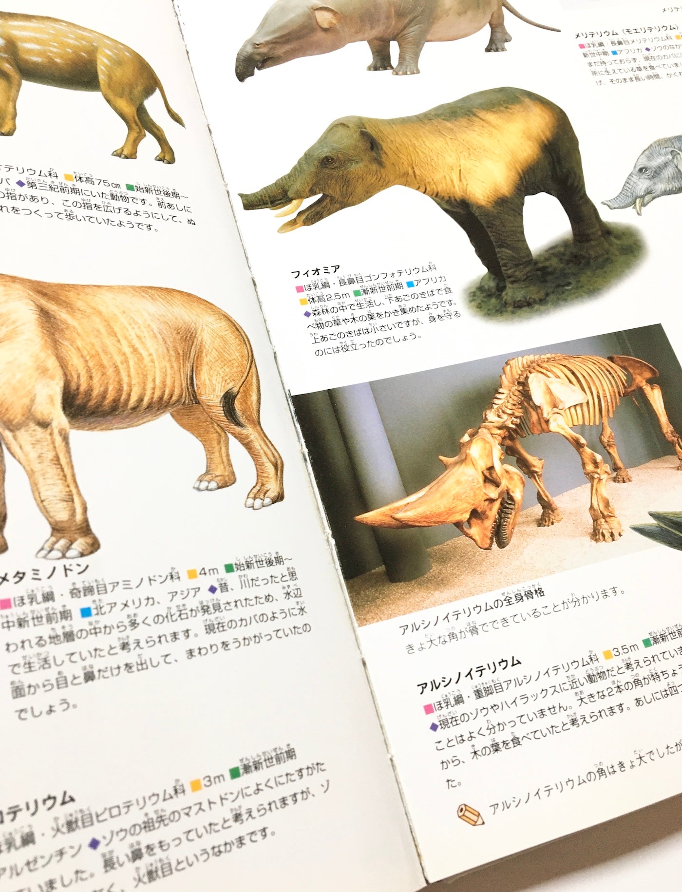 大昔の動物 (ニューワイド学研の図鑑)