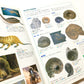 大昔の動物 (ニューワイド学研の図鑑)