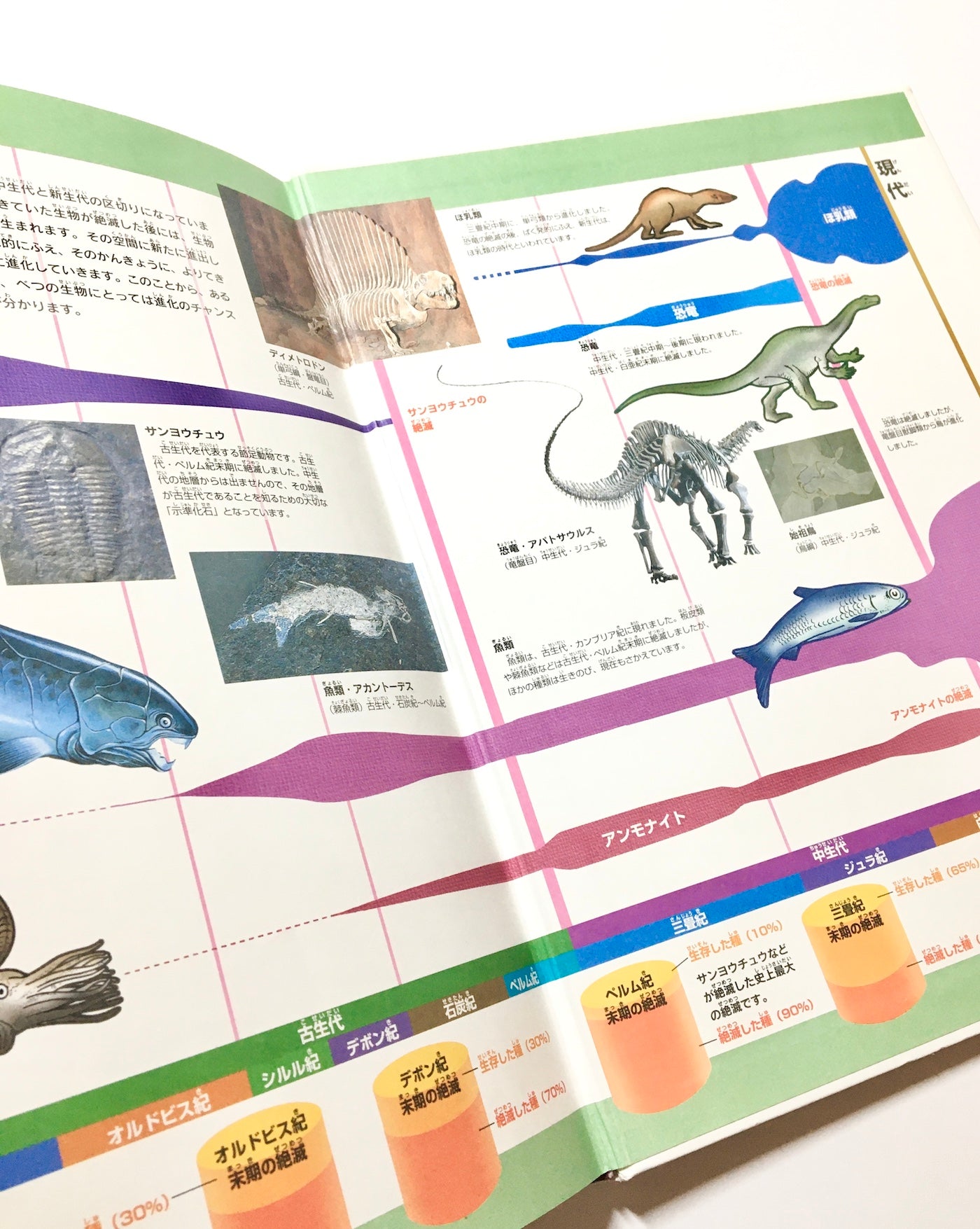 大昔の動物 (ニューワイド学研の図鑑)