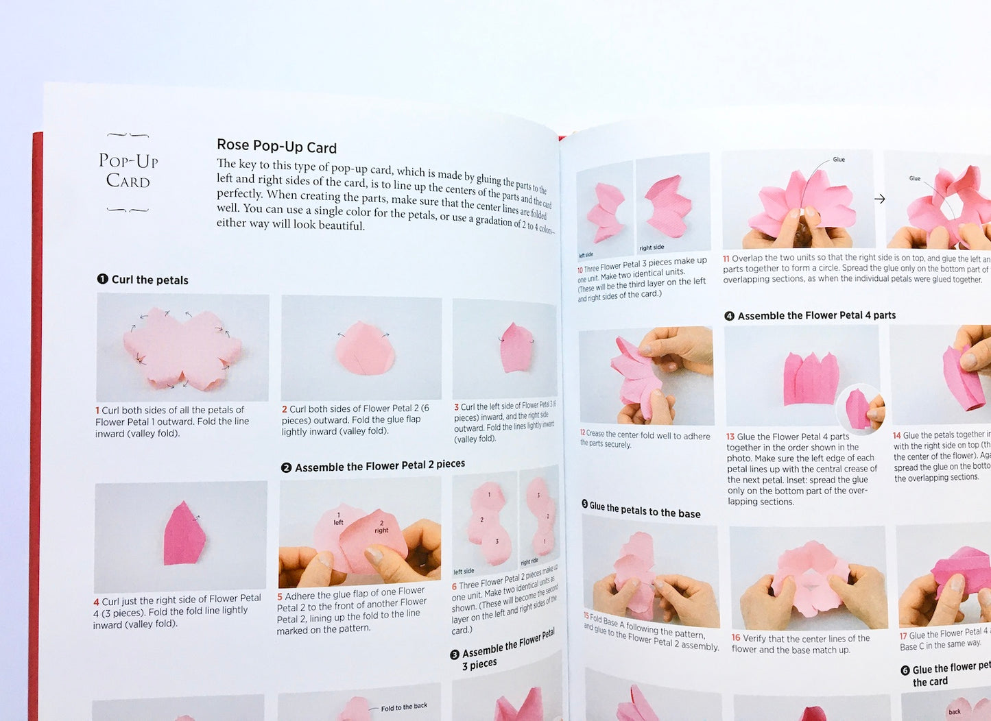 Paper Flower Note Cards: Pop-up Cards * Greeting Cards * Gift Toppers