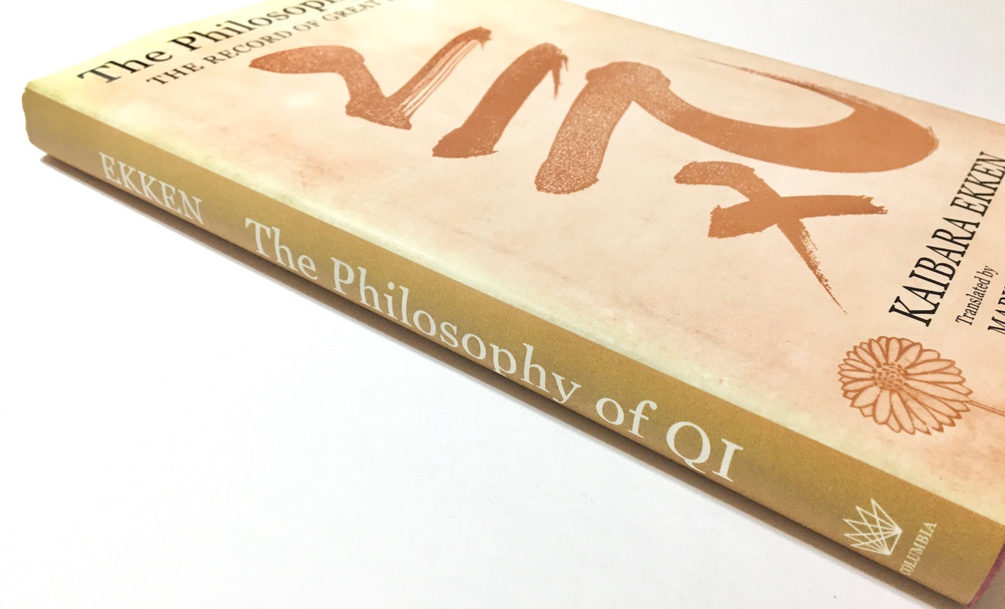 The Philosophy of Qi: The Record of Great Doubts