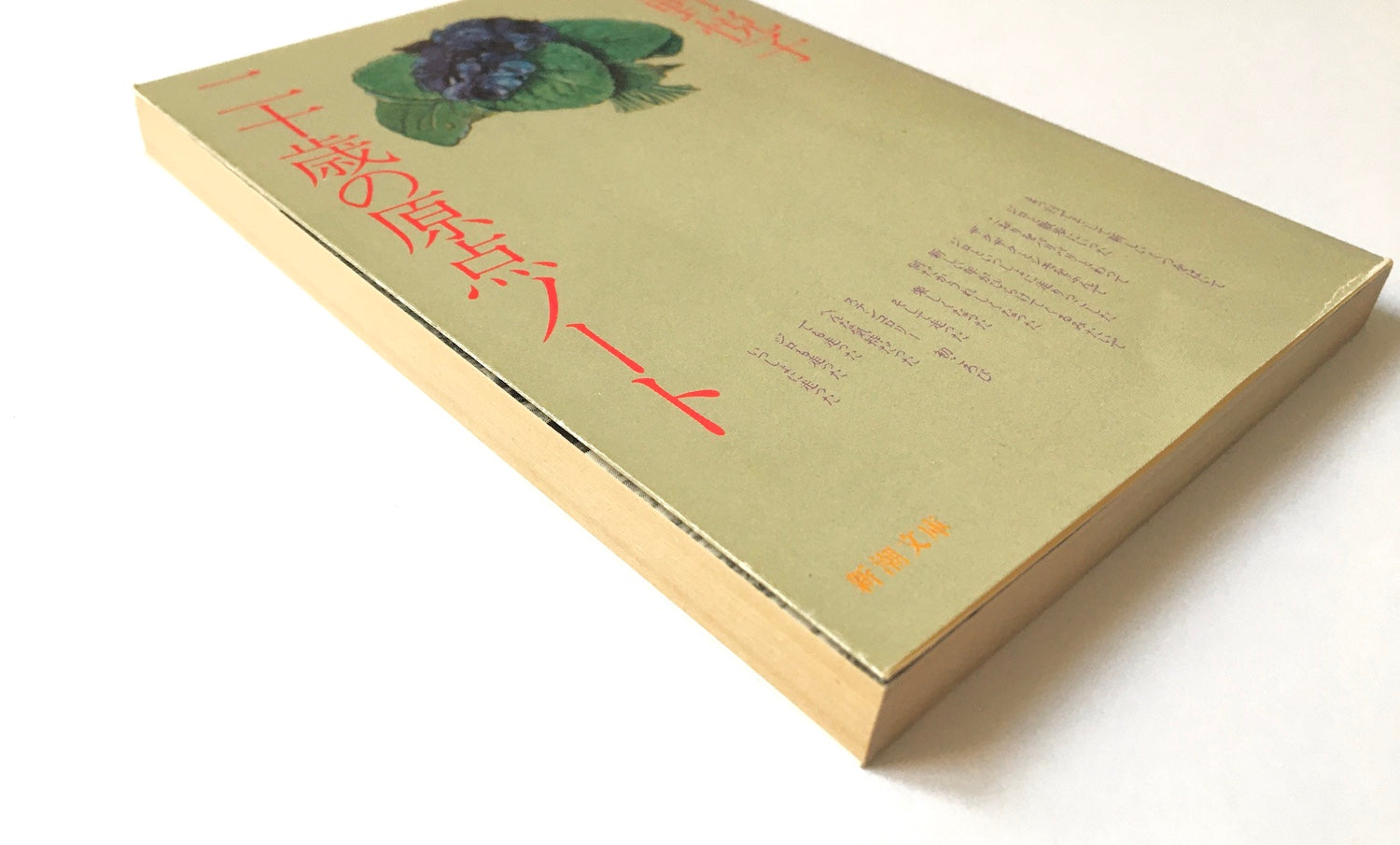 japanese　二十歳の原点ノート　二十歳の原点序章　Tsubaki　–　bookstore