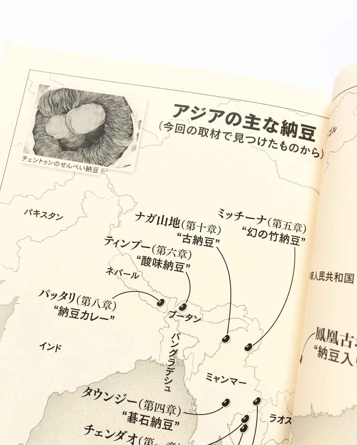 謎のアジア納豆 そして帰ってきた〈日本納豆〉