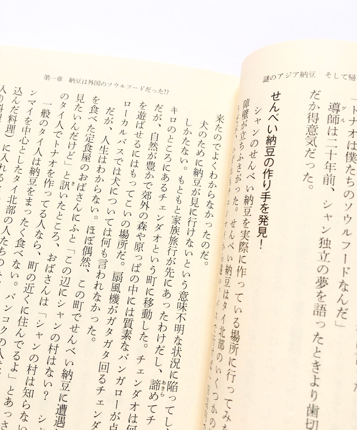 謎のアジア納豆 そして帰ってきた〈日本納豆〉